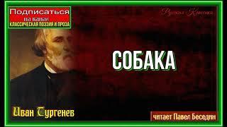 Собака  — Стихотворение в Прозе —Иван Тургенев —читает Павел Беседин