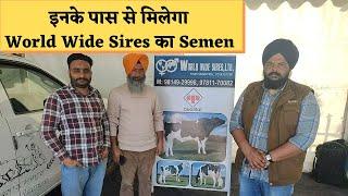 World Wide Sires Semen is Available Here Phno - 9814929998 , 9781170082 @farmeradvisor