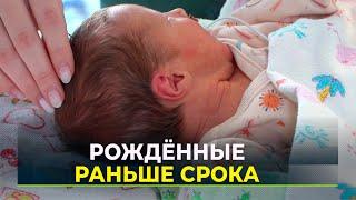 Всего 500 граммов: как на Ямале выхаживают недоношенных детей