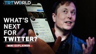 Elon Musk buys Twitter - what happens now?