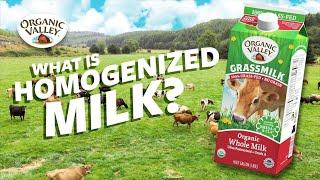 What is Homogenized milk? | Ask Organic Valley