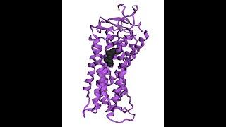 3D video of Opsin1 protein