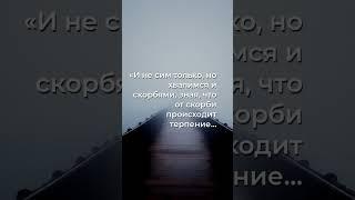 Скорбь как путь к надежде: мудрость Павла