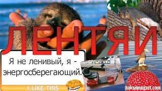 ЛЕНТЯИ  мнение от baksomagnit