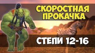 12-16 уровень l СКОРОСТНАЯ ПРОКАЧКА WOW CLASSIC