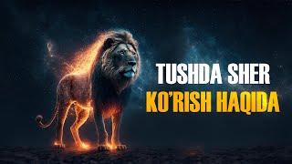 Tushda sher ko’rish haqida? | Ustoz Abdulloh Zufar