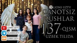 QANOTSIZ QUSHLAR 137 QISM TURK SERIALI UZBEK TILIDA | КАНОТСИЗ КУШЛАР 137 КИСМ УЗБЕК ТИЛИДА