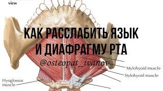 Работа с диафрагмой рта и корнем языка. Тест подьязычного нерва