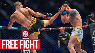 CRAZY HIGH-KICK! A young phenom ended the career of a skilled veteran | PARADEISER vs. FISHER