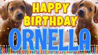 Happy Birthday Ornella! ( Funny Talking Dogs ) What Is Free On My Birthday