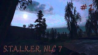 S.T.A.L.K.E.R. NLC 7 (3.8.2) #1: Крещение Кордоном (Медуза, контейнер для Сидора, документы Волку)