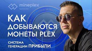 Обзор как работает MinePlex Откуда берутся 20% и как можно увидеть цену Plex на 7 дней