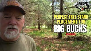 Chasing Giants TV - Perfect Stand Setup for Big Bucks | Don Higgins’ Memorial Day Tree Stand Hang