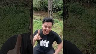 Survival Skill: EASY and USEFUL  #forest #outdoors #camping #survival #bushcraft #lifehack