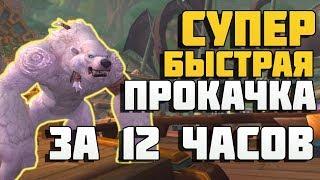 Прокачка 110-120 за 12 часов в Битве за Азерот ! Battle for Azeroth