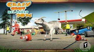 Crazy Goat Reloaded 2016 Android Gameplay #DroidCheatGaming