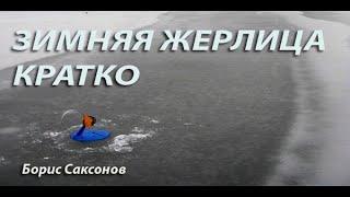 ЗИМНЯЯ ЖЕРЛИЦА - КРАТКО