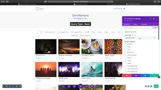 Divi FilterGrid - Basic Query Type