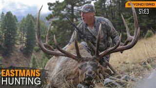 Giant Montana Bull Elk - 374" B&C (Hunting)