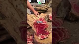 Follow for part 2…….. #textposts #textstories #redditstories #textstoriesdaily #funny #memes