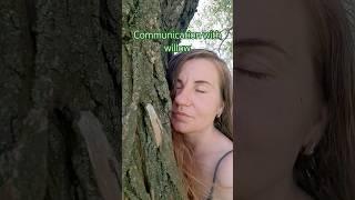 What are the benefits of communicating with willow?  #healing #spirituality #youtubeshorts