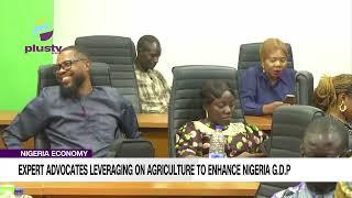 Nigeria Economy: Expert Advocates Leveraging On Agriculture To Enhance Nigeria GDP