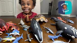 Sea Animals Collection - Lobster, Squid,  Shark Ray, Bowhead Whale, Sea Turtle, Nurse Shark,Ammonite