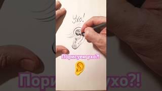 Ухо?!. без проблем!  #sketch #рисунок #рисуноккарандашом #набросок #карандаш #ухо #drawing