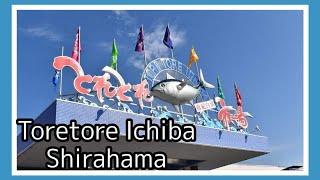 Toretore Ichiba Shirahama / Wet Market in Japan  #wetmarket #ichiba #shirahama