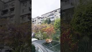 1-комн. квартира в Сочи за 7,7 млн! #стасбобровсочи