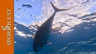 Livebaiting Bonita for Marlin, Tuna and Dorado at Zancudo Lodge