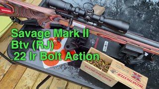 Savage Mk II BTV .22 lr bolt action / Bushnell Legend scope build and review..