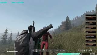 серия 742  ЛИКВИДАЦИЯ PVE, обзор  #ЛИКВИДАЦИЯPVE #DayZ