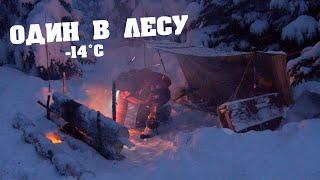 БЕЗ ПАЛАТКИ ! ЗИМНИЙ ПОХОД В -14°C #зимнийпоход #бушкрафт #выживание