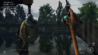 Fishing planet. Мадвотер,. Уникальный Синежаберный Солнечник.