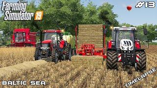 Harvesting, baling and collecting bales | Animals on Baltic Sea | Farming Simulator 19 | Episode 13