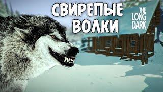 The Long Dark.  Свирепые, лесные волки.