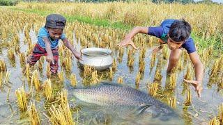 Amazing hand fishing videos | village smart boys catching fish by hand in rain water #best_fishing