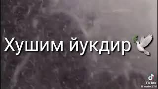 сен бор санки  бу хаиёта кунгилим тухтир ️️