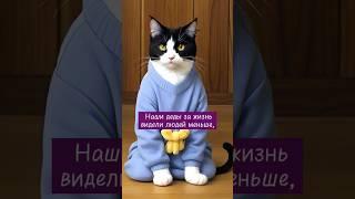 О количестве информации...  #кот #юмор #жизнь