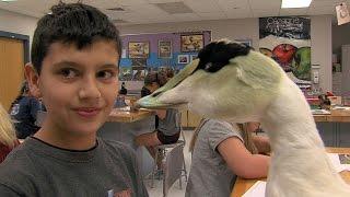 Art of the Outdoors: Jr. Duck Stamp