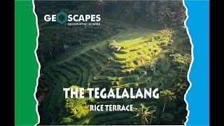 The Tegalalang Rice Terrace : a scenic and iconic place in nature #geoscapes #geographicscapes