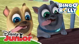 Aprender con Disney Junior: Los países del mundo con Bingo y Rolly | Disney Junior Oficial