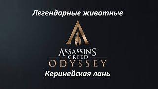 Assassin's Creed: Odyssey | Легендарные животные | Керинейская лань