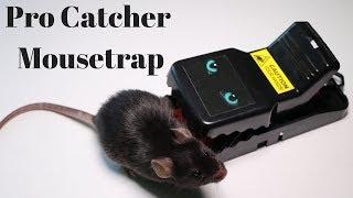 The Pro Catcher Mouse Trap.  Mousetrap Monday