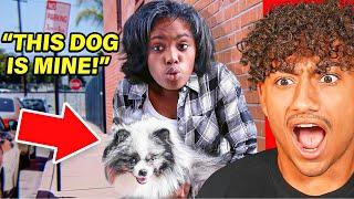 KID KIDNAPS DOG..
