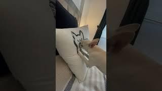 Напал на кота! Что он делает?
