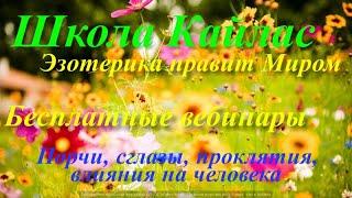 Порчи,сглазы,проклятия,влияния на человека. Вебинар онлайн от АА Дуйко HD