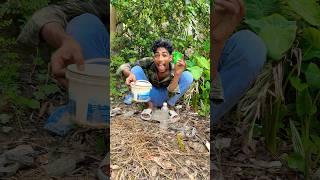Survival Skills: easy methood saving water transfer to bottle#camping #bushcraft#water #smart