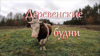 Осенний этюд. Возим с Кузькой навоз.